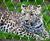 Webnet - stainless steel mesh for zoo animal enclosures and habitats 10