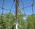 Webnet - stainless steel mesh for zoo animal enclosures and habitats 11