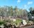 Webnet - stainless steel mesh for zoo animal enclosures and habitats 9