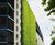 Jakob - bespoke stainless steel rope and rod green wall systems 2