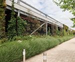 Jakob Webnet green wall systems