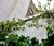 Webnet Stainless Steel Wire Trellis Kit - plant support system for gardens 2