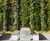 Webnet green wall for shopping and leisure complex 1