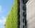 Webnet green wall for shopping and leisure complex 3