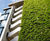 Webnet green wall for shopping and leisure complex 7