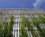 Webnet green wall for shopping and leisure complex 8