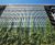 Webnet green wall for shopping and leisure complex 9