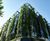 Commercial green wall systems 2