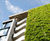 Commercial green wall systems 1