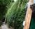 Commercial green wall systems 4