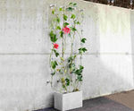 Residential green wall systems