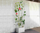 Residential green wall systems - on this page
