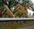 Bespoke boat seating and arches for White Hart Dock 2