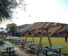 Sweet chestnut leaf pergola for school playground
