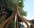 Handmade timber pergolas and arches 13