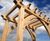 Handmade timber pergolas and arches 9