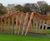 Twisting Frame - handmade timber pergola for shelter and play 3