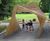 Twisting Frame - handmade timber pergola for shelter and play 1