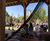Base camp - Madagascar Zone, Chester Zoo 9