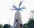 Baobab tree and slide sculpture - Chester Zoo 0