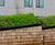 Armadillo seating shelters with green roofs for hospital 4
