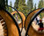 Sculptural hoop structures for Children's Garden, Kew 5
