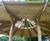 Onion shelter with green roof for community garden 4