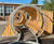 Hoop shelter with green roof for secondary school 5