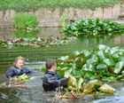 Maintenance programs for lakes, ponds and waterways