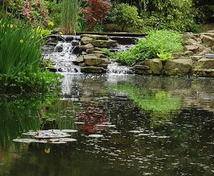 Lake and pond design and build services