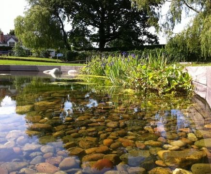 Natural swimming ponds in landscaped settings