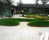 AluExcel edging, Endeavour School, Andover - on this page