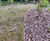 AllEdge - aluminium garden edging for lawns and borders 2