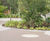 Resin bound pathway edging - Horatio's Garden 1