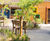 Resin bound pathway edging - Horatio's Garden 2