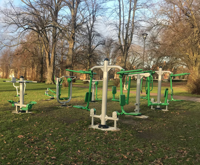 Outdoor Gym Equipment - Community Spaces & Schools - Caloo