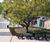 Pewsham Recycled Plastic Picnic Table and Bench - PPT401 8