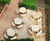Compact Student Accommodation Courtyard Solution 2