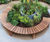 Bespoke Hardwood Spiral Bench for Community Garden 0