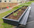 Canopies, covered walkways and planter/seats for school 2