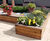 Sheldon Timber Planter - SPL312 3