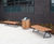 Langley Hardwood Iroko Bench - LBN106 1