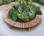 Sheldon all-timber curved bench - SBN339 5