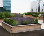 Sheldon Timber Planter - SPL305