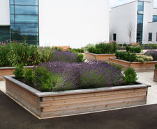 Sheldon Timber Planter - SPL305