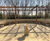 Sheldon Timber Pergola - SPG300 5