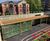 Sedum-roofed cycle shelter - Nightingale Primary School 0