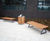 Langley Timber Clad Litter Bin - LLC104 1