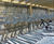 Cycle parking and shelters for new student accommodation 9