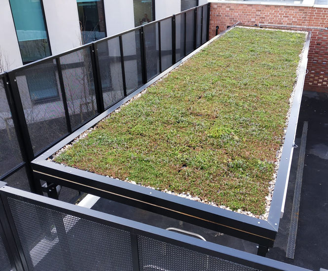 Steel Sedum Roof Cycle Shelter
